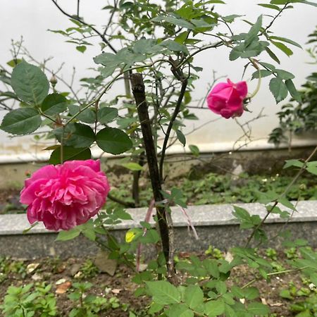 Nhat Long Homestay Huế Kültér fotó
