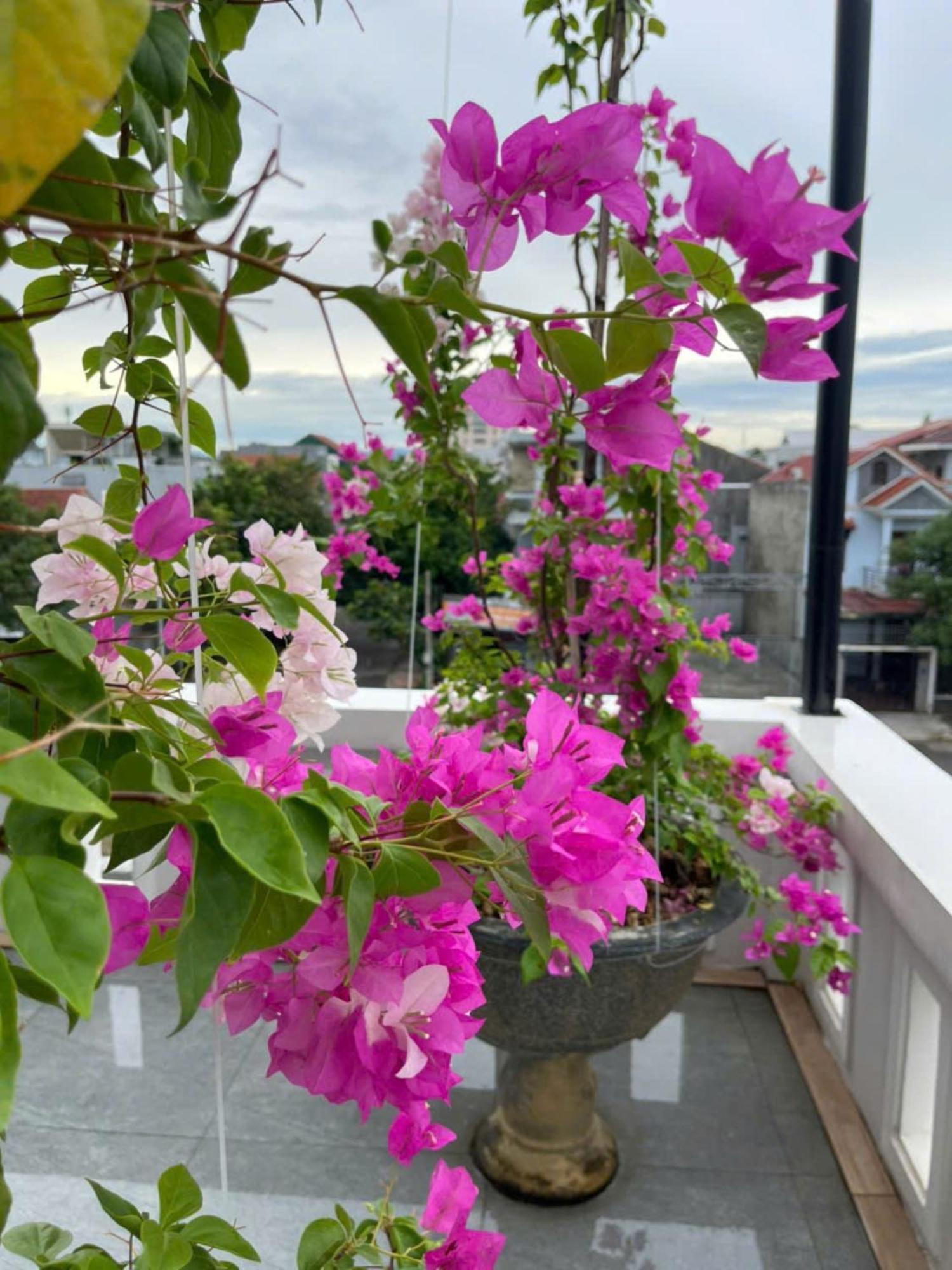 Nhat Long Homestay Huế Kültér fotó