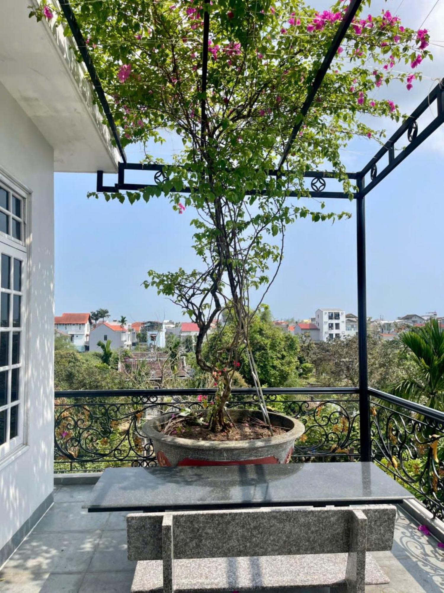 Nhat Long Homestay Huế Kültér fotó